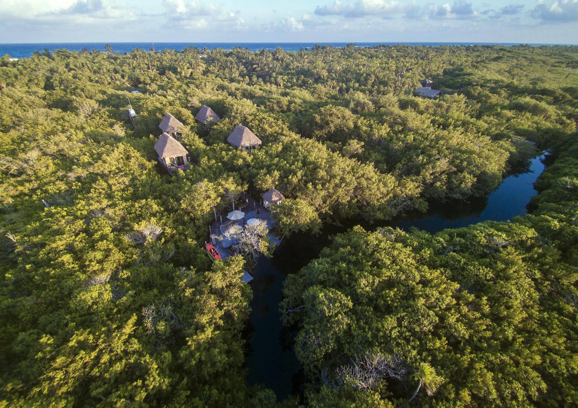 Manglex Eco Hotel Tulum Exterior foto